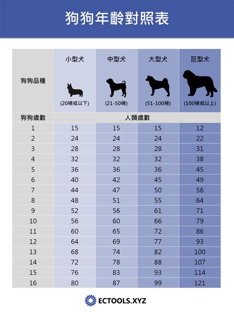 狗狗頭五怎麼算